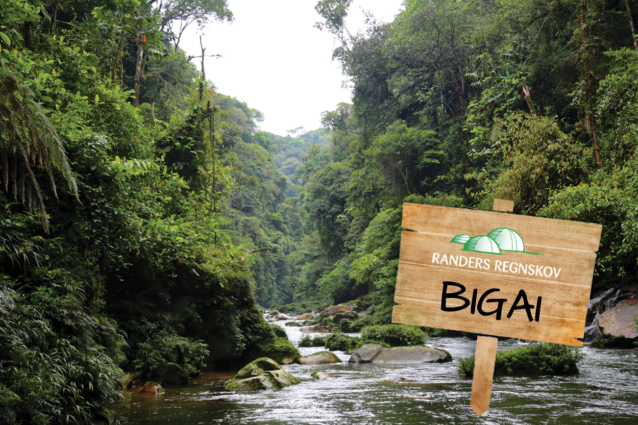 Regnskoven i Bigai
