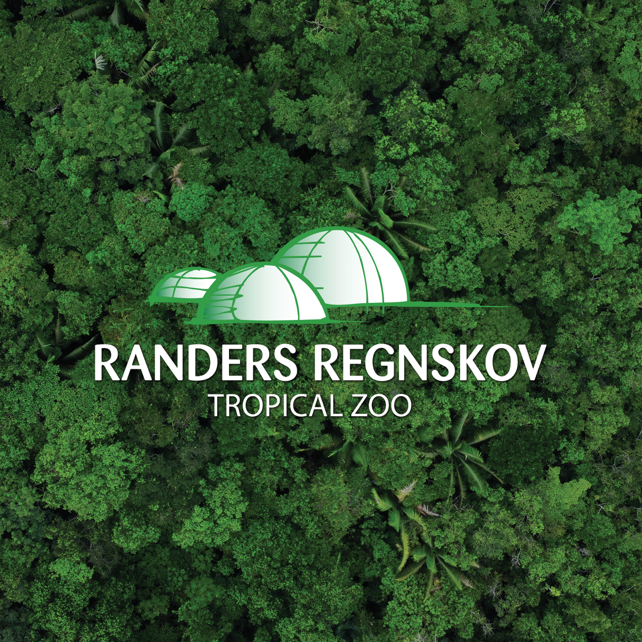 Randers Regnskov