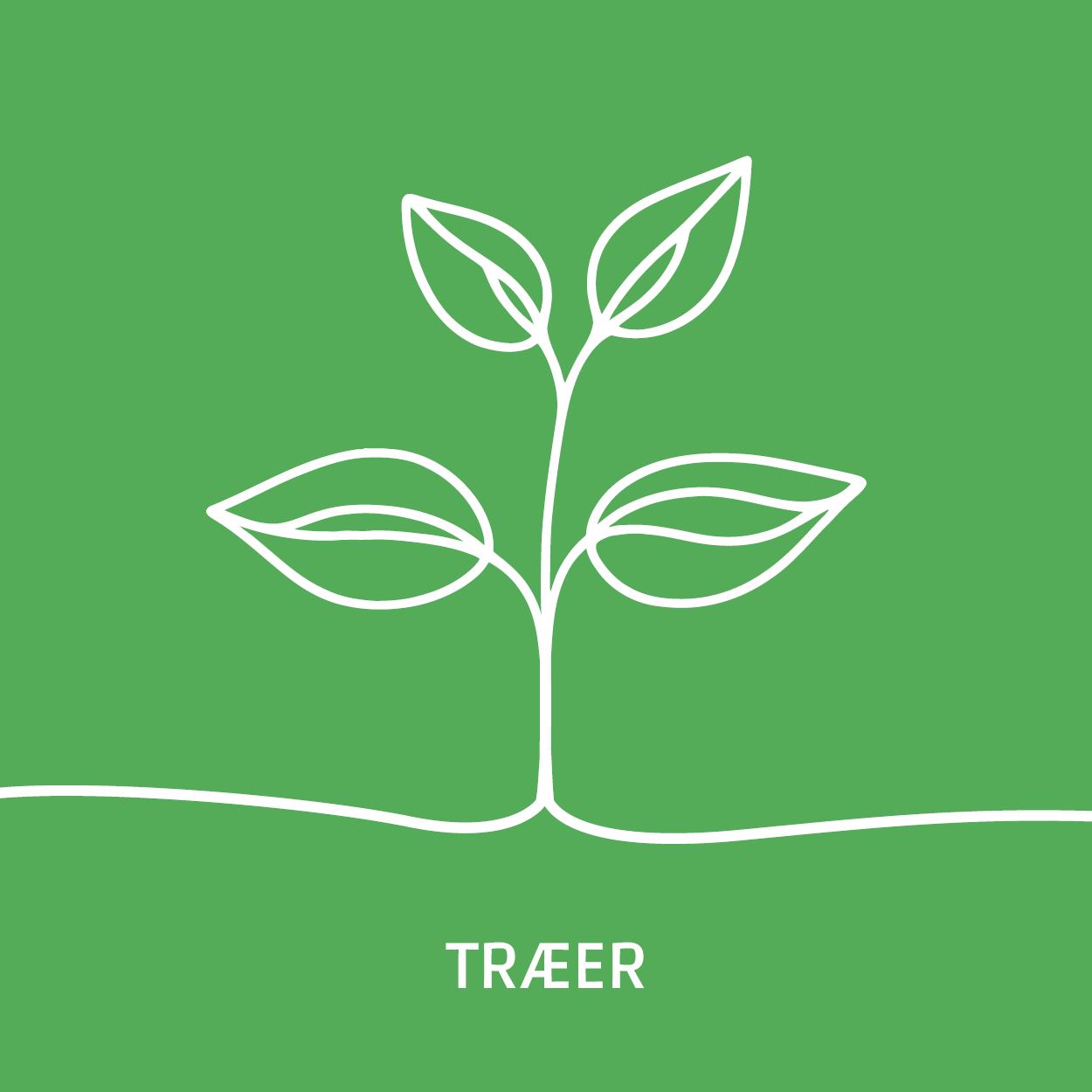 TRÆER