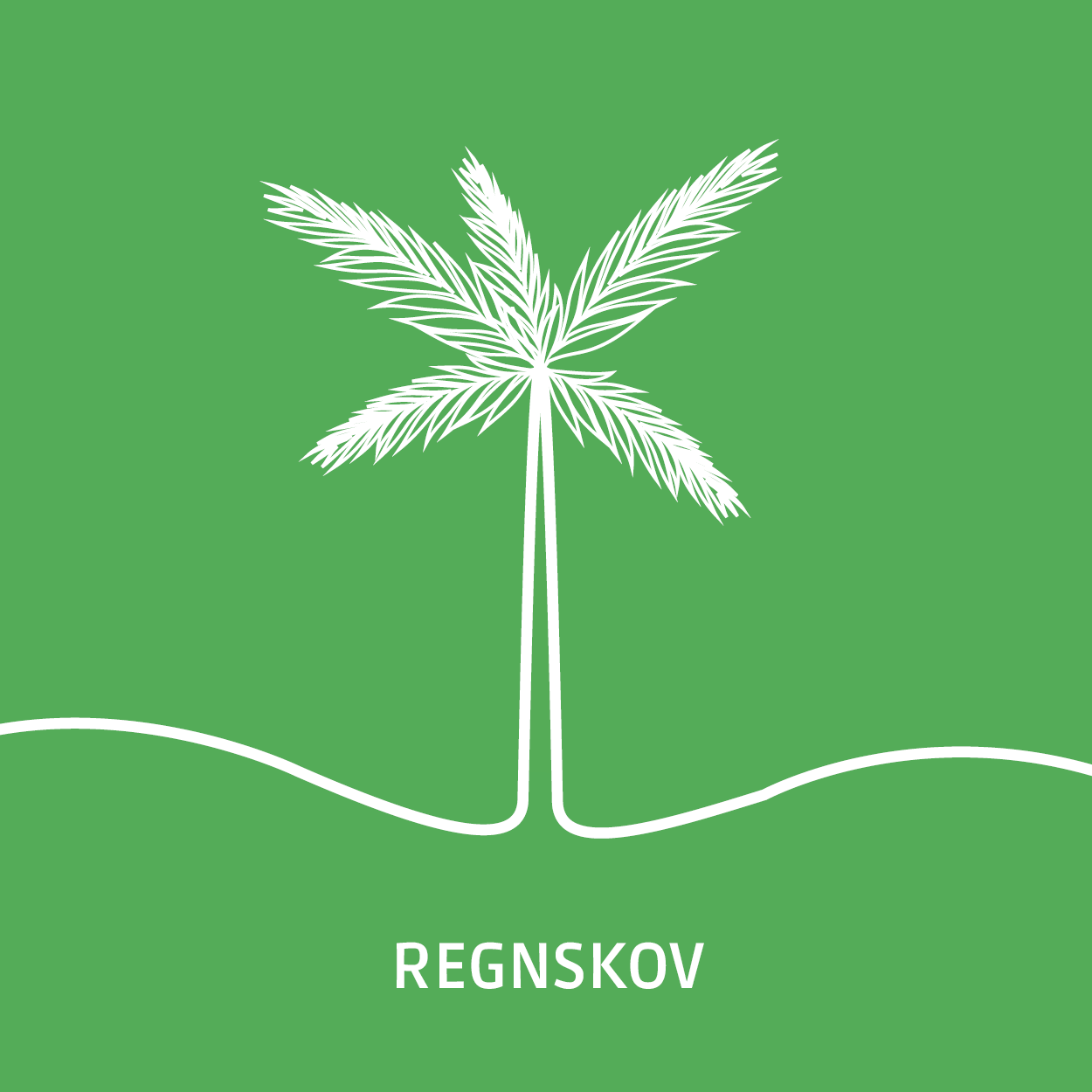 REGNSKOV